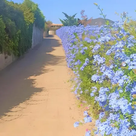 La Casa Verde Vila Tertenìa